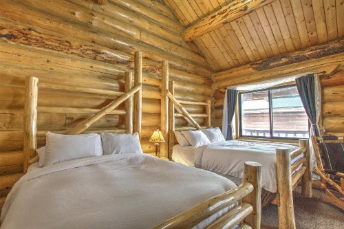Hibernation Station - image 7
