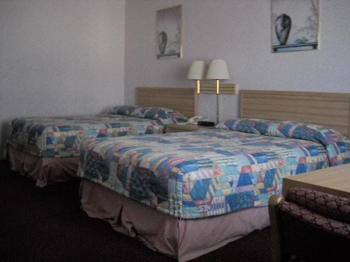 Palms Courtyard Inn - image 5