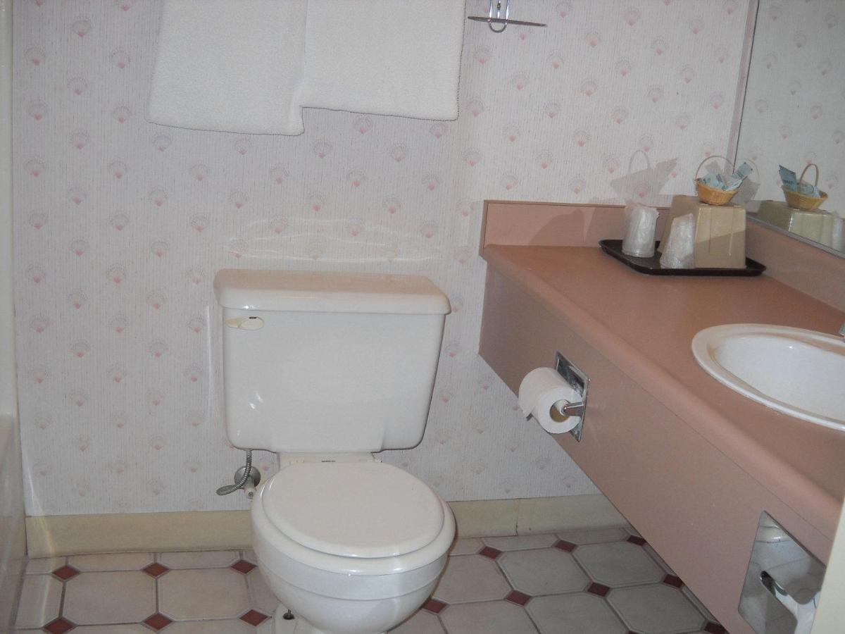 Palms Courtyard Inn - image 6