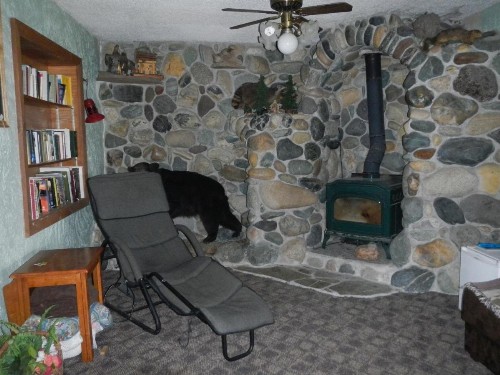 Whitebird Summit Lodge - image 16