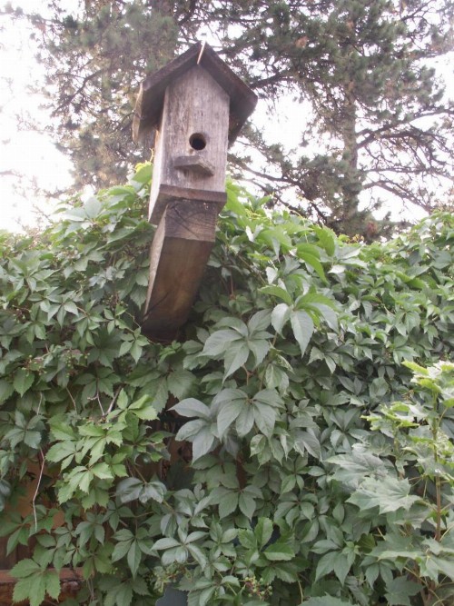 Whitebird Summit Lodge - image 18