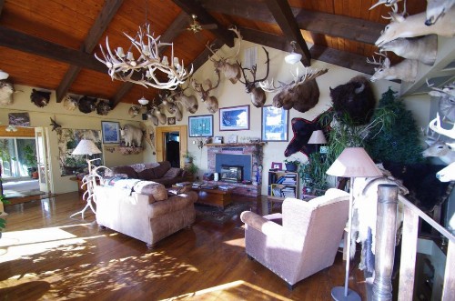 Whitebird Summit Lodge - image 20