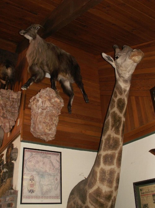 Whitebird Summit Lodge - image 21