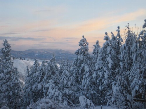 Whitebird Summit Lodge - image 23