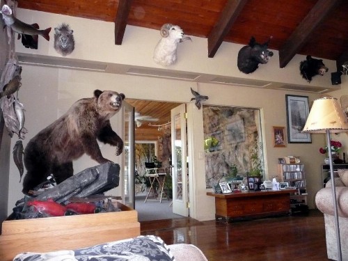 Whitebird Summit Lodge - image 32