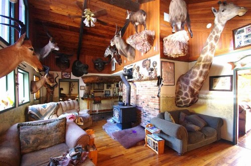 Whitebird Summit Lodge - image 5