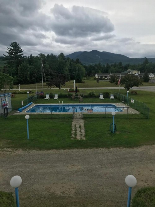 Four Seasons Motor Inn - image 4