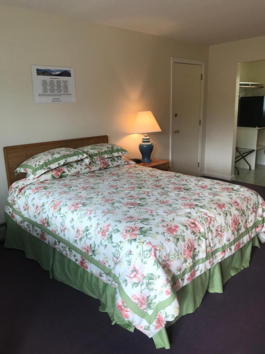 Four Seasons Motor Inn - image 5