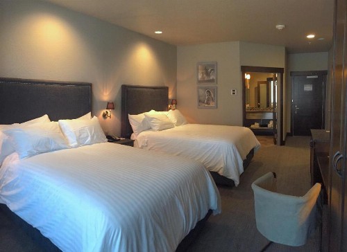 Firebrand Hotel - image 26