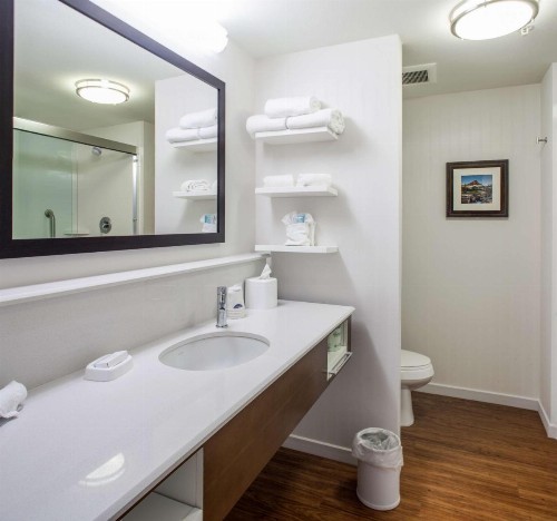 Hampton Inn & Suites Whitefish - image 4