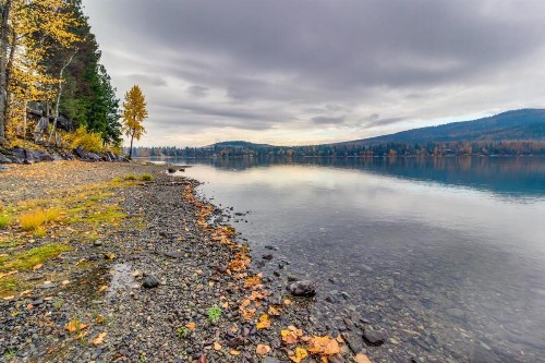 Bay Point Lakefront 1B Down - image 8