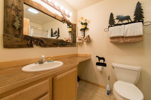 Ski Slopes and Scenic Views - image 8