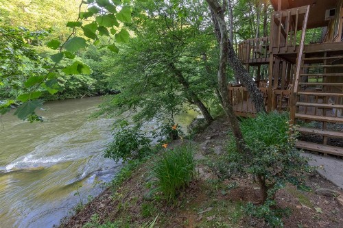 2 Bed 1 Bath Vacation home in Whittier - image 6