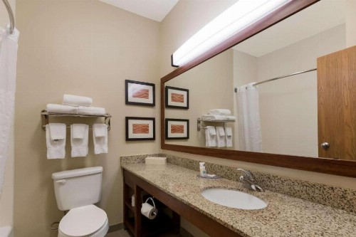 Comfort Inn East Wichita - image 33