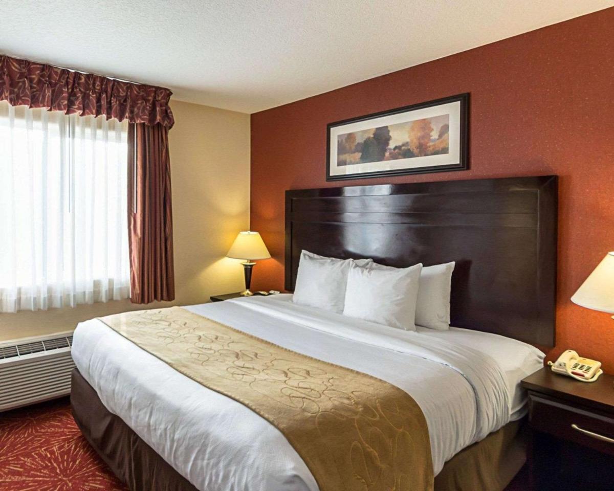 Comfort Suites Airport Wichita - image 4