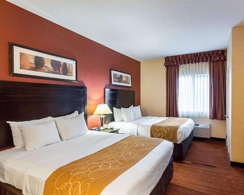 Comfort Suites Airport Wichita - image 6