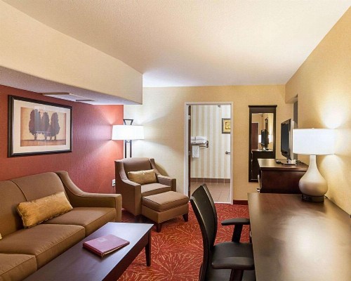 Comfort Suites Airport Wichita - image 7