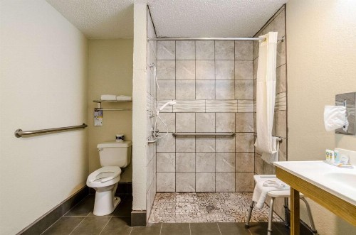 Quality Inn South - image 21