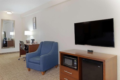Comfort Inn & Suites - image 4
