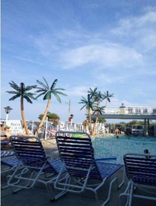 Gondolier Motel - Wildwood - image 40