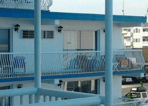 Gondolier Motel - Wildwood - image 43