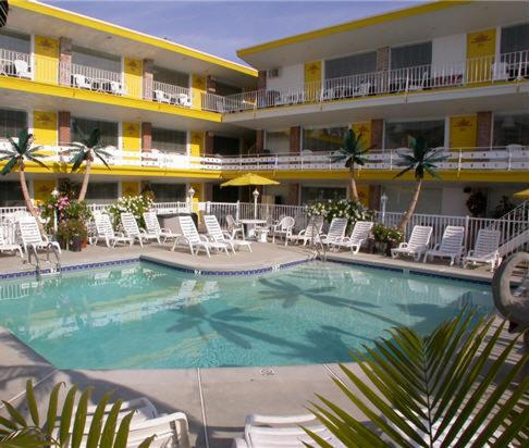 American Safari Motel - main image