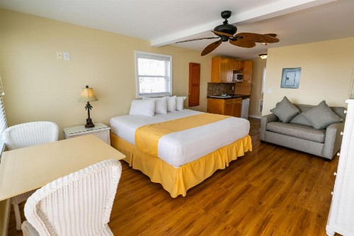 American Safari Motel - image 2