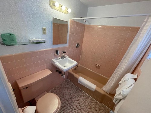 American Safari Motel - image 3