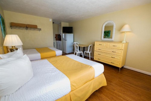 American Safari Motel - image 35
