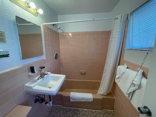American Safari Motel - image 4