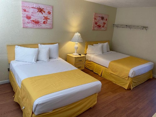 American Safari Motel - image 8