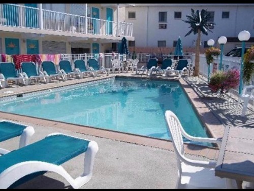 Buttercup Suites - image 2