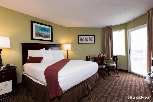 El Coronado Resort - image 28