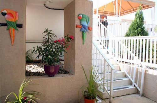 El Coronado Resort - image 35