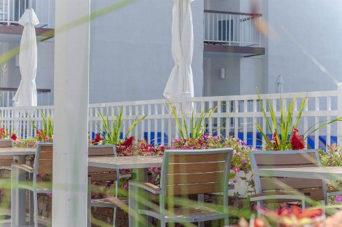 ICONA Diamond Beach - image 23