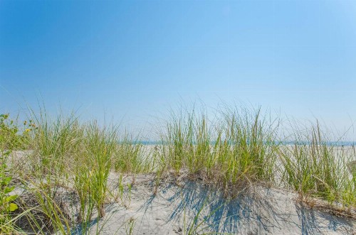 ICONA Diamond Beach - image 26