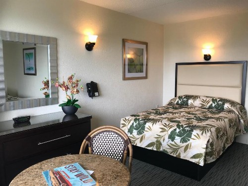 Crystal Beach Motor Inn - image 21