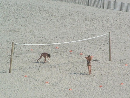 Bal Harbour Hotels - image 44