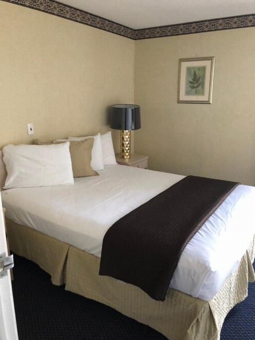 Bal Harbour Hotels - image 9