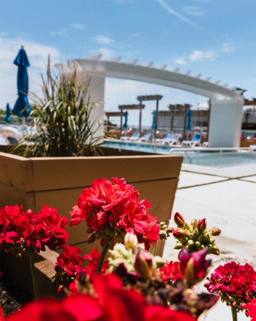 Regal Plaza Beach Resort - image 20