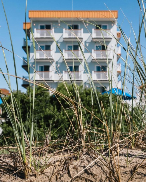 Regal Plaza Beach Resort - image 43