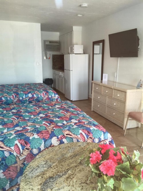 Pyramid Resort Motel - image 14