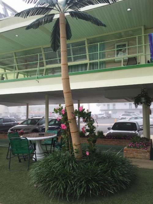 Caribbean Motel - image 17