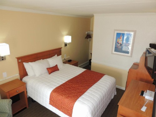 Fleur de Lis Beach Motel - image 18