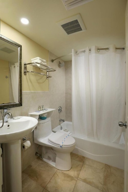 Fleur de Lis Beach Motel - image 4