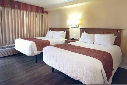 Fleur de Lis Beach Motel - image 42