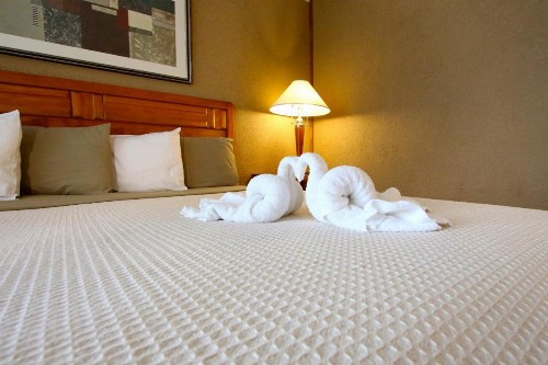 Crusader Oceanfront Resort - image 21