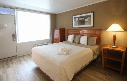 Crusader Oceanfront Resort - image 23