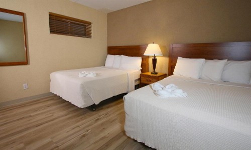 Crusader Oceanfront Resort - image 32