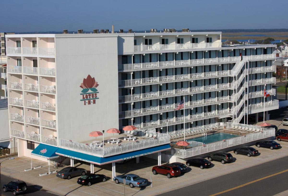 Lotus Inn - main image